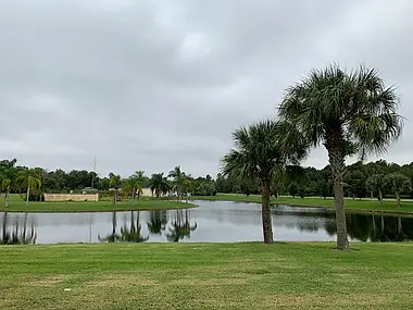A landscaped pond at the center of a community, ringed by palms and lawn.