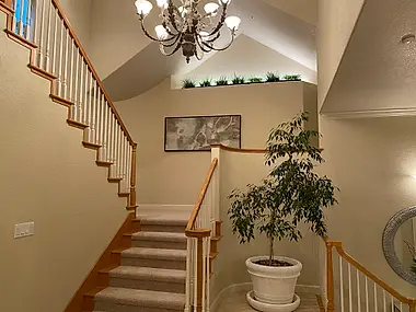 A curved staircase landing lit by a wrought-iron chandelier, with a potted ficus softening the corner.